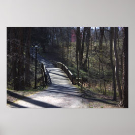 Park Walking Bridge Poster