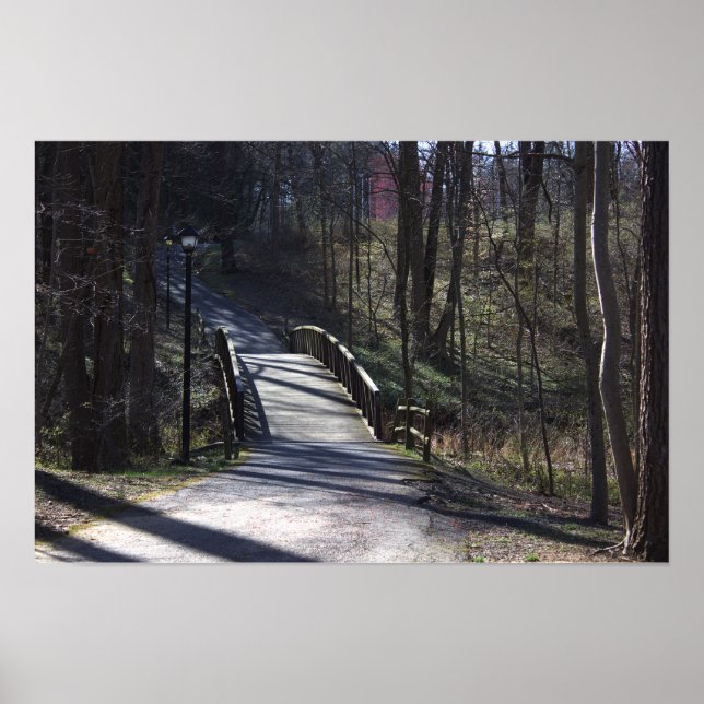 Park Walking Bridge Poster (Framsidan)