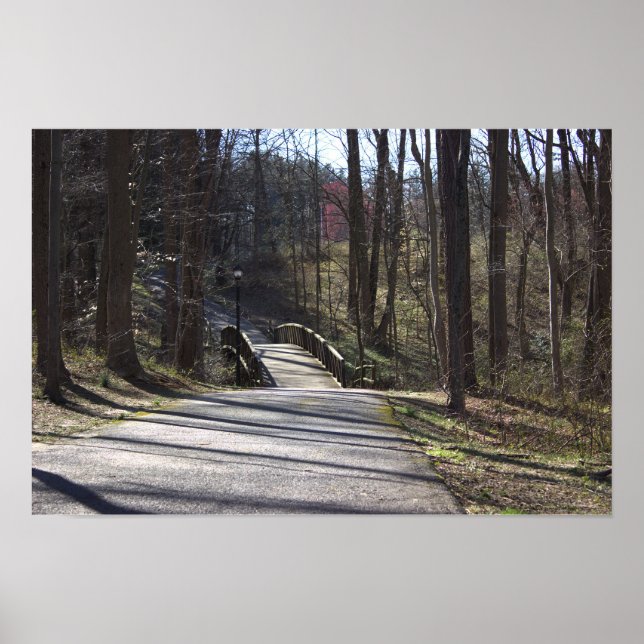 Park Walking Bridge Poster (Framsidan)