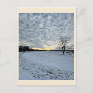 Park Winter Sunset-vykort Vykort