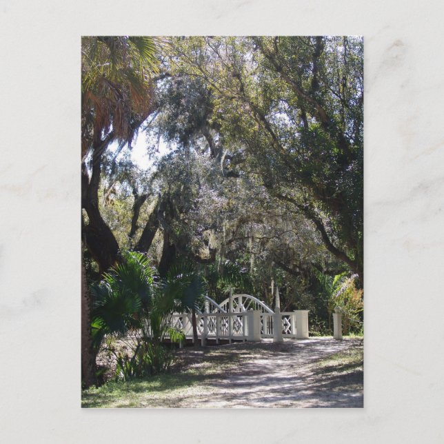 Parkbron Vykort (Framsida)