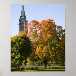 Parken bredvid Parliment Byggnad i Ottawa. Poster