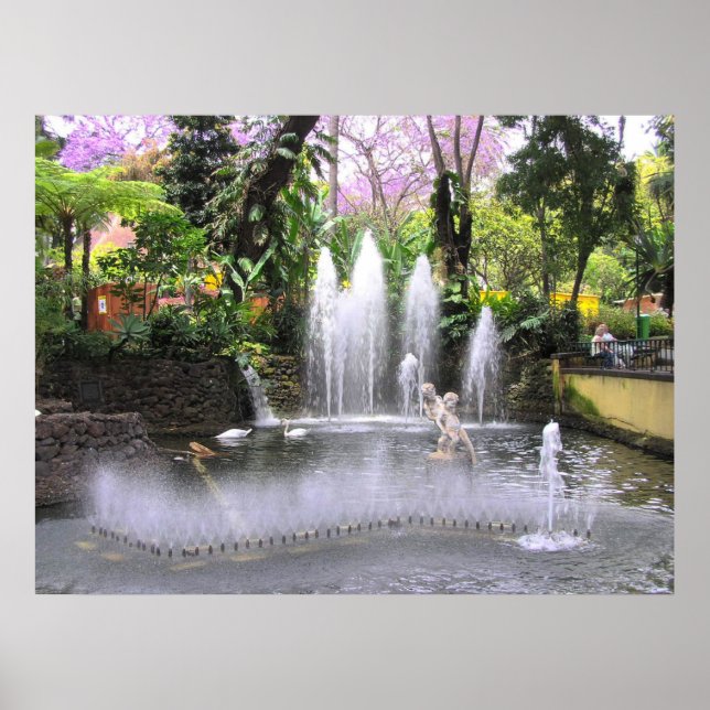 Parker i Portugal Poster (Framsidan)