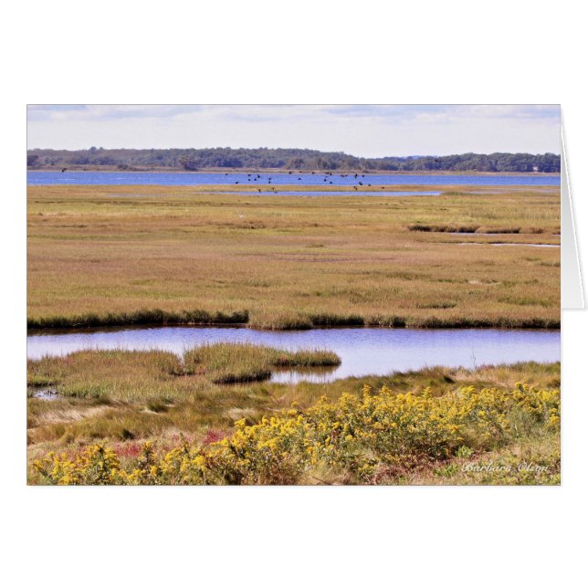 Parker River National Wildlife Refuge: Plum Island Hälsningskort (Framsidan Horizontal)