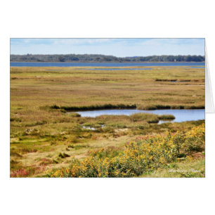 Parker River Wildlife Refuge: Plum Island Hälsningskort