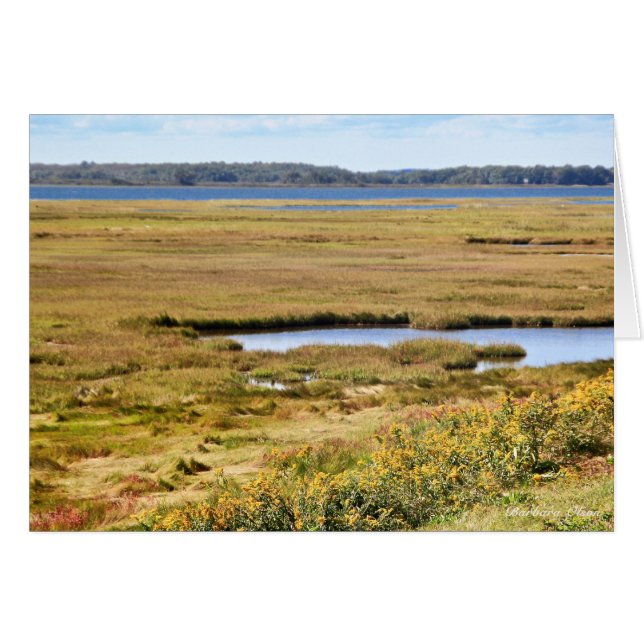 Parker River Wildlife Refuge: Plum Island Hälsningskort (Framsidan Horizontal)