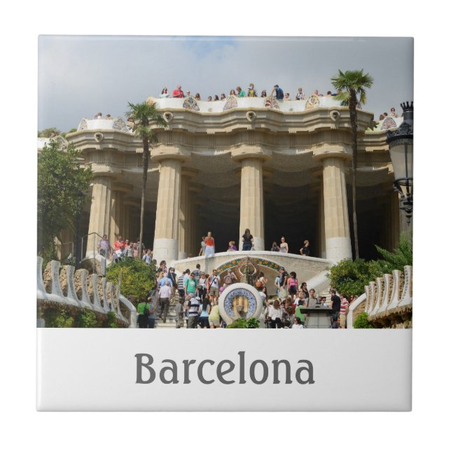 Parkera Guellpanelen Kakelplatta (Framsidan)