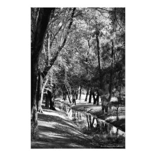 Parkera strömmer B&W fotograferar trycket Fototryck