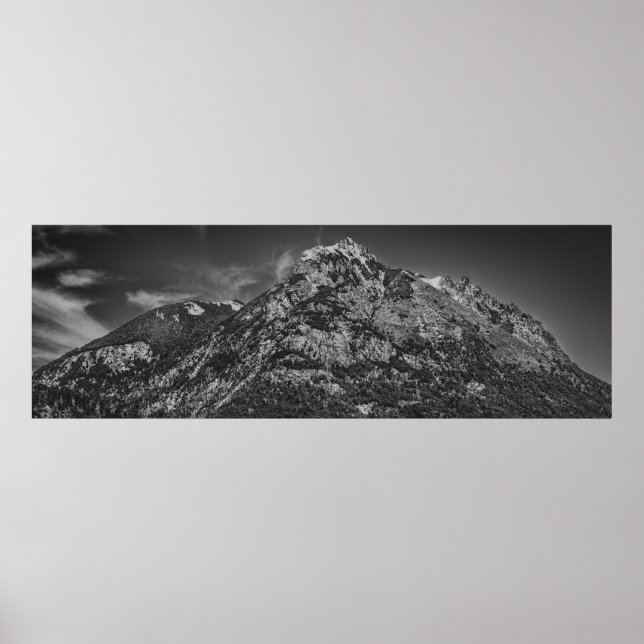 Parkeringslandskap för svartvit nahuel huapi poster (Framsidan)