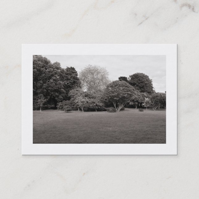 Parkeringslandskap (kantad) visitkort (Framsida)