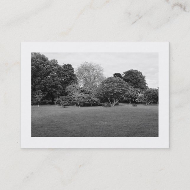 Parkeringslandskap (kantad) visitkort (Framsida)