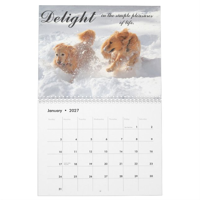 ParkerPup kalender 2013 (Jan 2027)