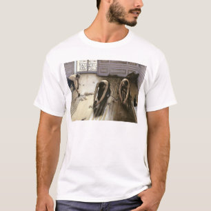 Parketthyvlarna, 1875 t shirt