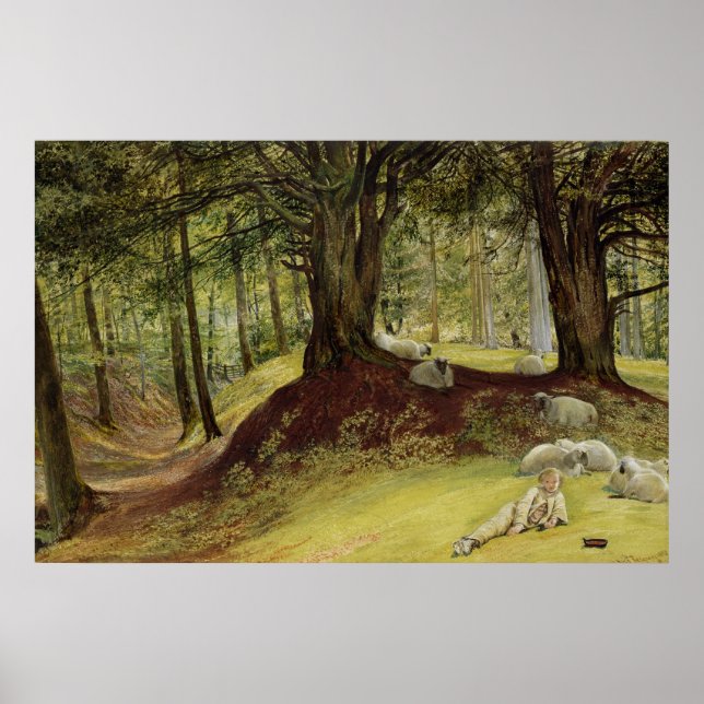 Parkhurst Skogen, Abinger, Surrey Poster (Framsidan)