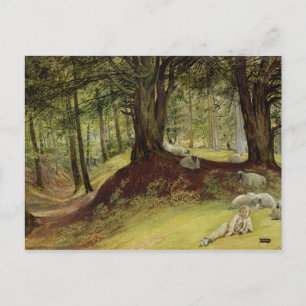 Parkhurst Skogen, Abinger, Surrey Vykort