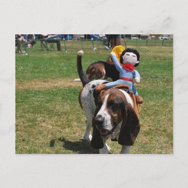 Park's Basset Hound Vykort (Framsida)