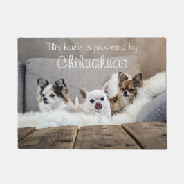 Parlamentet skyddas av Chihuahuas Doormat