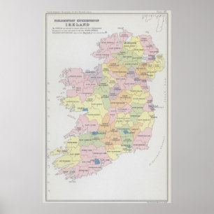 Parlamentets representation Irland Poster