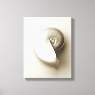 Pärlemorfärg Nautilussnäckskal Canvastryck