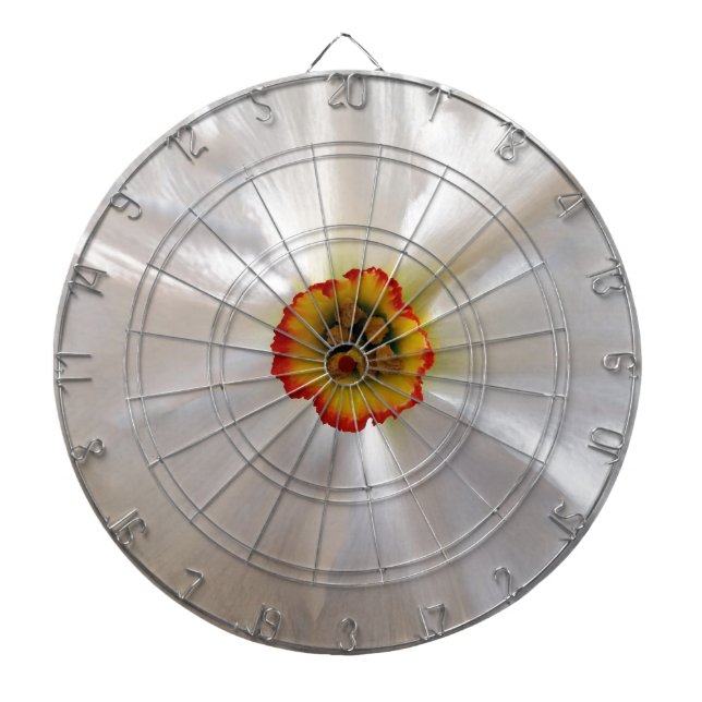 pärlemorvit narciss piltavla (Framsidan)