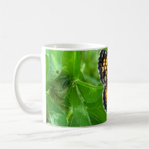 Pärlhalvmåne fjäril mugg ©️dh26