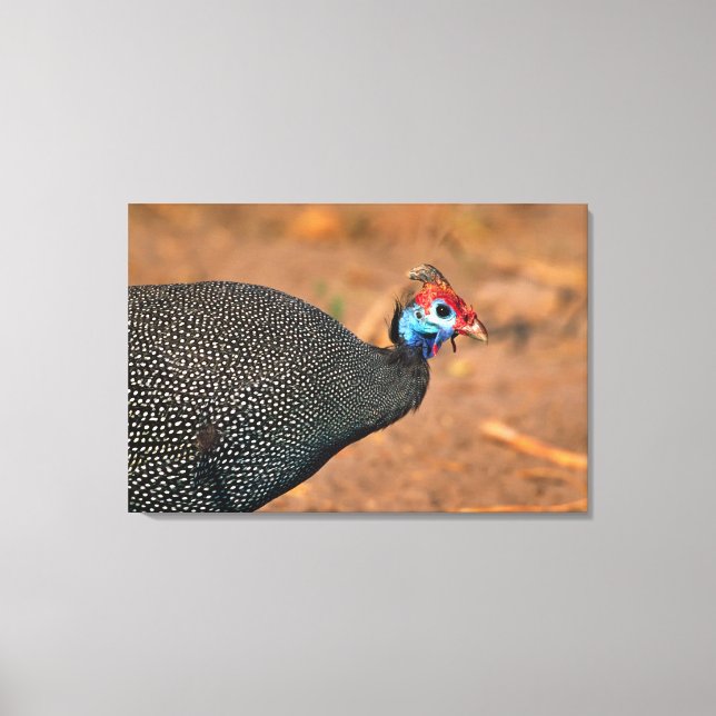 Pärlhöns (Numida meleagris). Afrika, Canvastryck (Framsida)