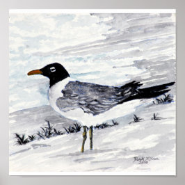 Pärlor och avtryck av fiskmås poster