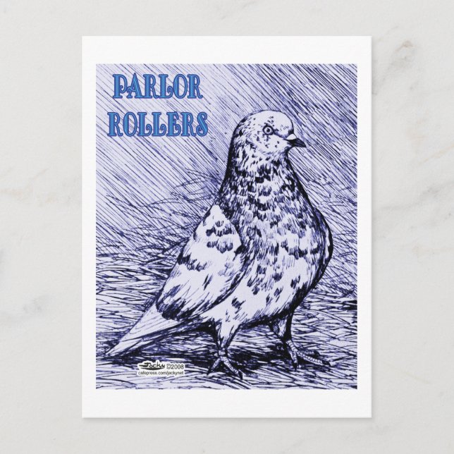 Parlor Roller Pigeon Vykort (Framsida)