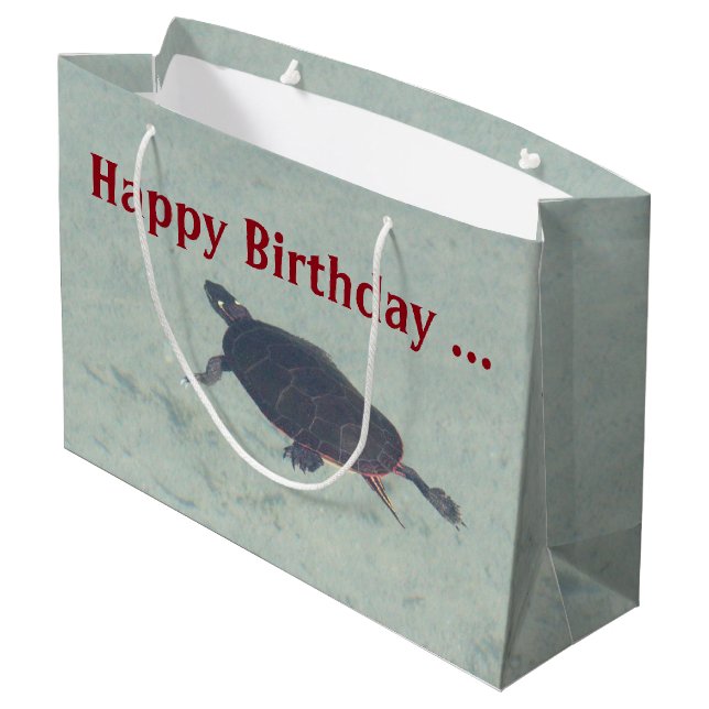 Pärlsköldpadda (Baksidan Vinklad)