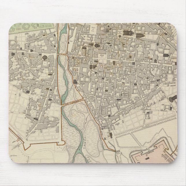 Parma Musmatta (Framsidan)