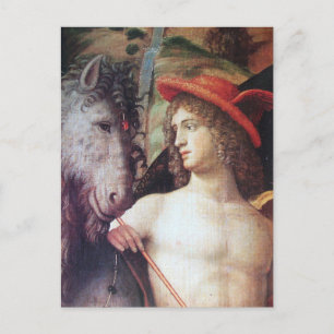 PARNASSUS / MERCURY MED PEGASUS VYKORT