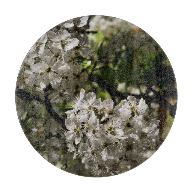 Päronblommar (Framsidan)