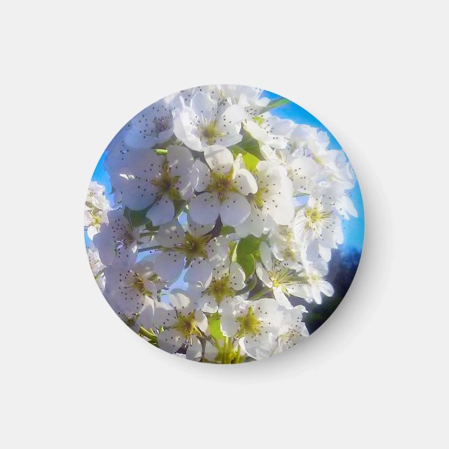 PäronBlommar Magnet (Framsidan)