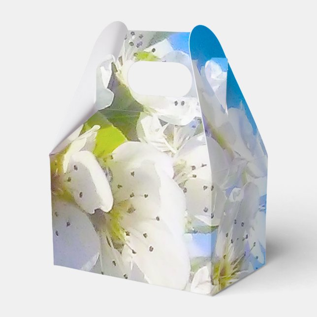 PäronBlommar Presentaskar (Framsidan Sidan)
