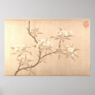 Päronblommor Antik Oriental ca.1280 Poster