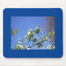 Päronblommor i djupa Blå himmel Musmatta