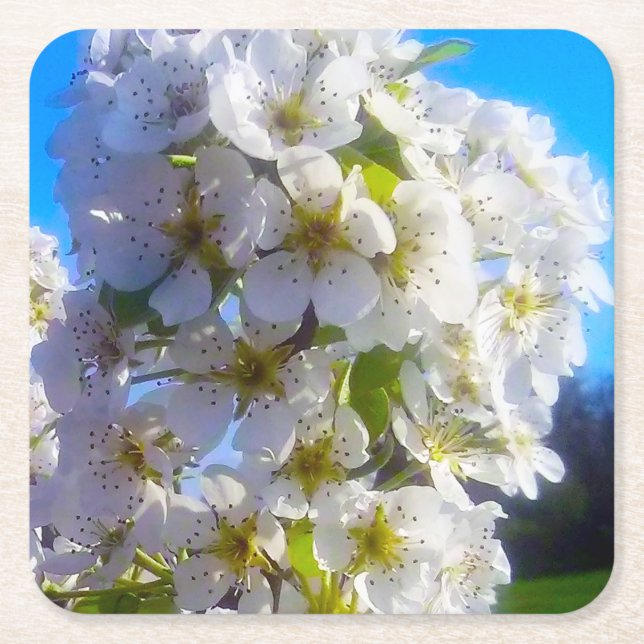 Päronblomster Underlägg Papper Kvadrat (Framsidan)