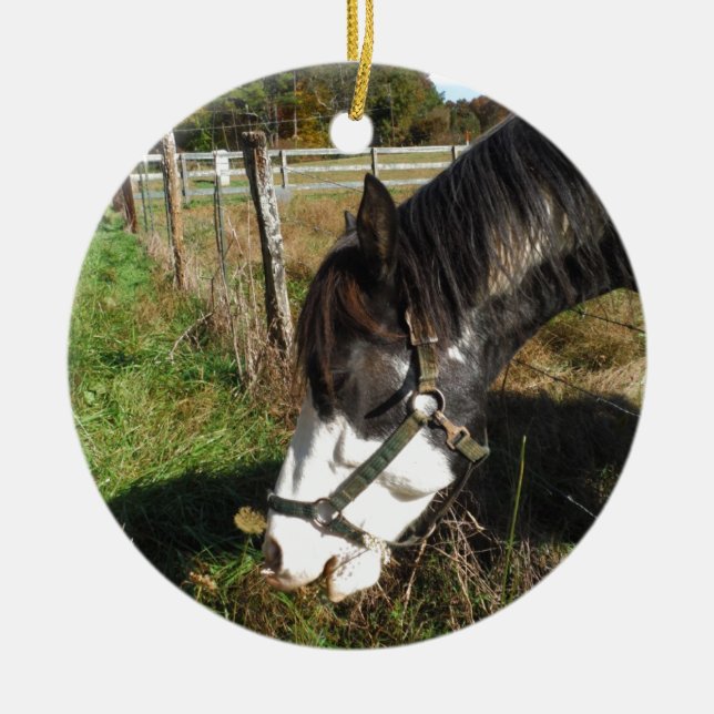 Päronerad häst, Eating Queen Ann Snöre-blomma Julgransprydnad Keramik (Framsidan)