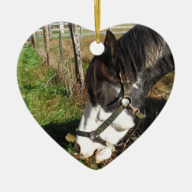 Päronerad häst, Eating Queen Ann Snöre-blomma Julgransprydnad Keramik (Framsidan)