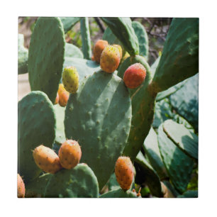 Päronfrukt (Pear Cactus) Kakelplatta