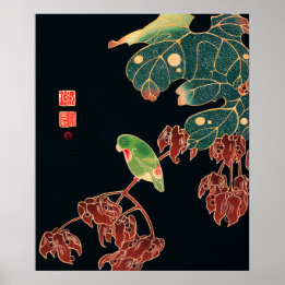 Paroquet av Ito Jakuchu (ca. 1900) Poster