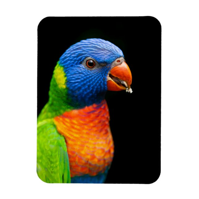 Parot Magnet (Vertikal)