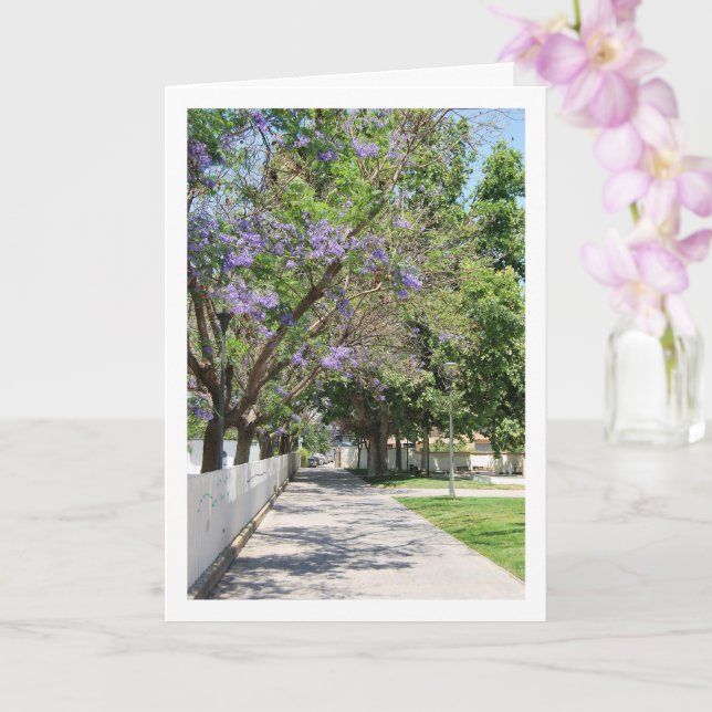 Parque de la Bombilla, Lliria, Valencia, Spanien Kort (Orkide)