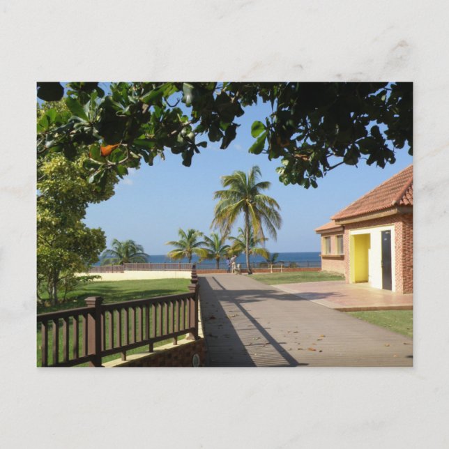 Parque del Faro Rincon Vykort (Framsida)