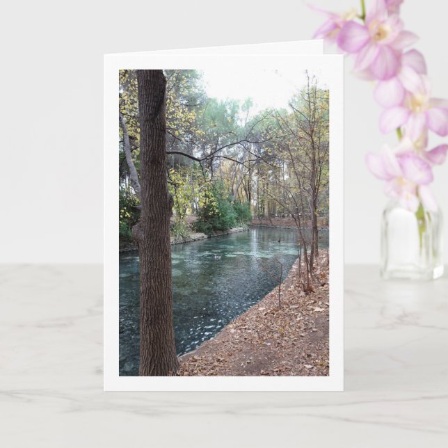 Parque Municipal San Vicente, Lliria, Valencia Kort (Orkide)