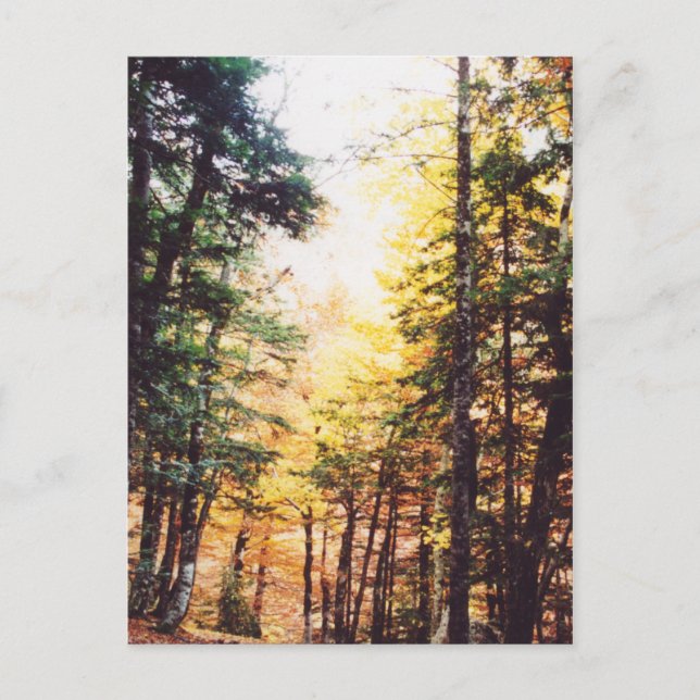 Parque Nacional Ordesa Vykort (Framsida)