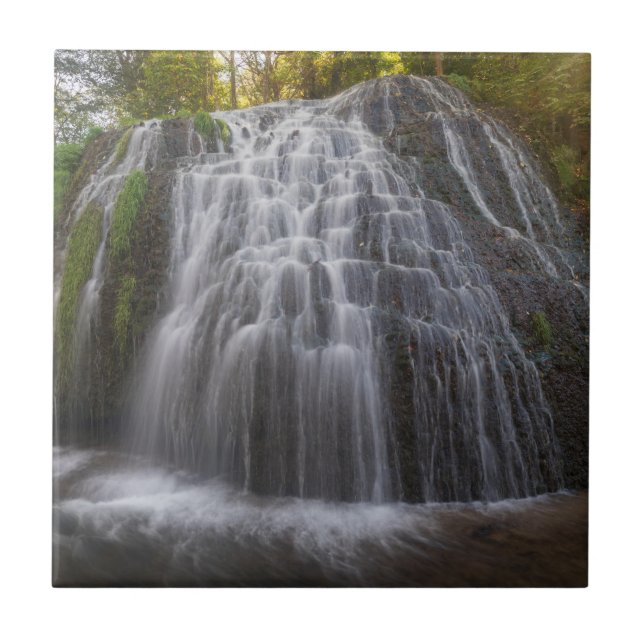 Parque Naturlig del Monasterio - vattenfall Kakelplatta (Framsidan)
