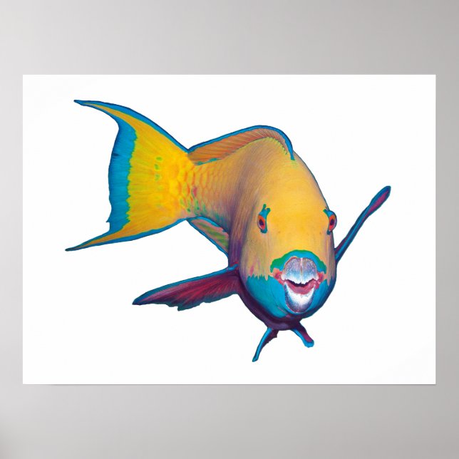 Parrofish - Abstrakt design - Klipp ut från foto | Poster (Framsidan)