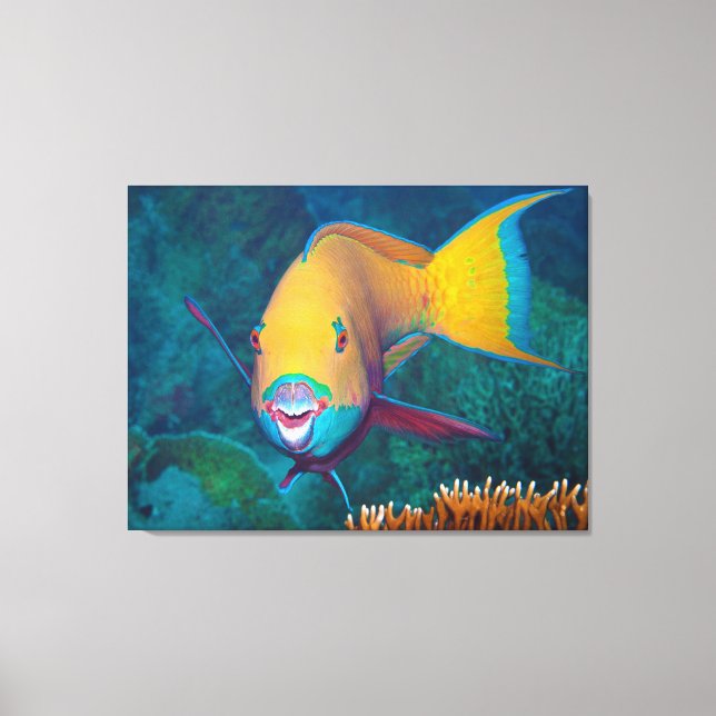 Parrofish - Striking make-up! Färgfoto | Canvastryck (Framsida)