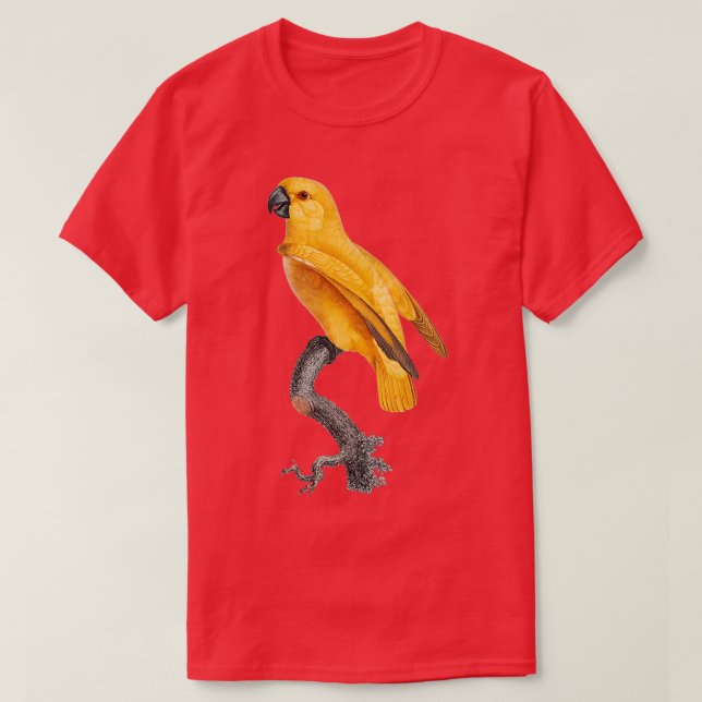 Parrot 30 Bild, offentlig domän T Shirt (Design framsida)